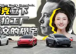 Pinnacle体育-马斯特里vs格拉夫