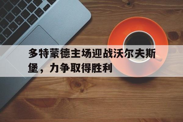 多特蒙德vs沃尔夫斯数据分析 多特蒙德vs沃尔夫斯数据分析
